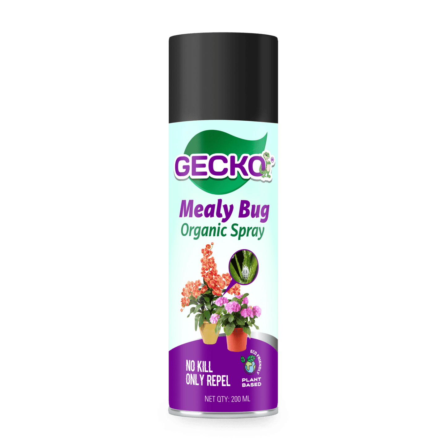 Gecko Mealy Bug Spray