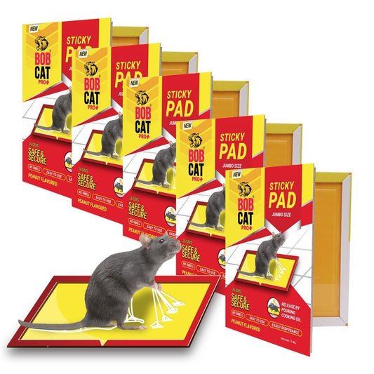 Rat glue pad trap Pack buy Online at Best Price