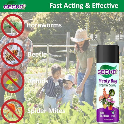 Gecko Mealy Bug Spray