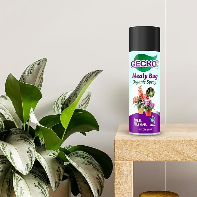 Gecko Mealy Bug Spray