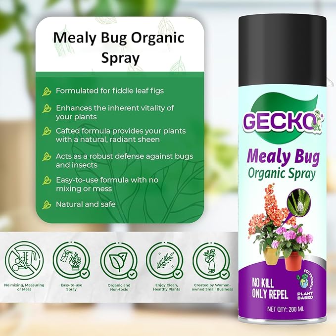 Gecko Mealy Bug Spray