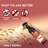 Blue Raptor Herbal Ant Control Spray, 200ml | Safe for Babies & Pets | Powerful Red Ant Defense for Home & Kitchen | Powerful Red Ant Barrier for Household Use | Pack of 1 (200ml) | - FORMULATION 3X 200ML