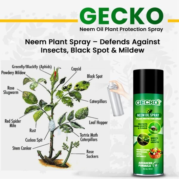 Gecko Cold Pressed Water Soluble Aerosol Neem Oil Spray Plants & Garden For Indoor And Outdoor Removes Aphids Mites Whiteflies Fungus Thriphs Mildew | 1x200ml | FORMULATION X2 200ML