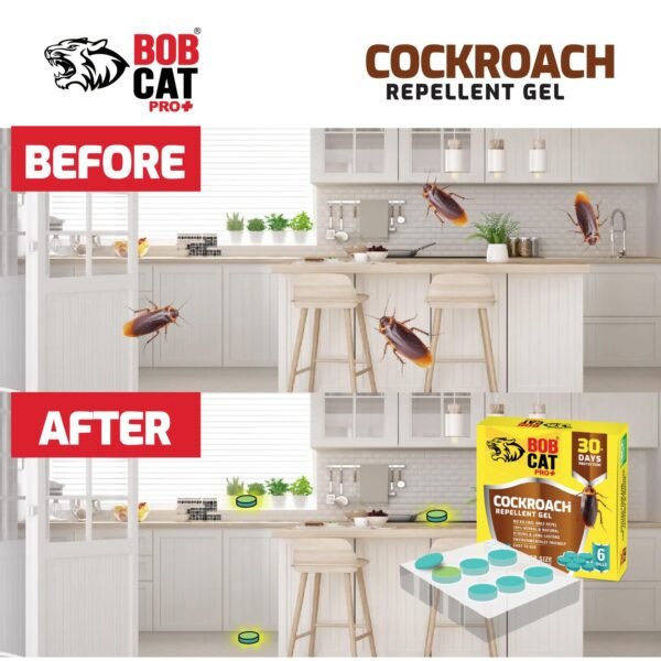 BOB CAT Natural Cockroach Repellent Gel | 100% Herbal | 30 Days Strong Protection