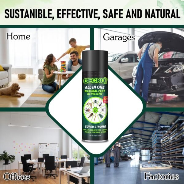 71hFDPYmt3L._SL1500_.jpg Gecko All-in-One Insect Repellent Spray | Multi-Purpose Insect Control for Lizard, Ant, Termite, Bed Bugs, Spider, Fly, Centipede, Mouse | 100% Natural Formula - 120ml | FORMULATION 10X 120ML
