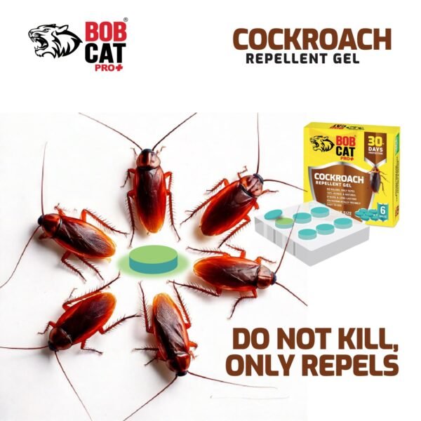 BOB CAT Natural Cockroach Repellent Gel | 100% Herbal | 30 Days Strong Protection