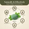 71uG78a63aL._SL1500_ BOB CAT Pro+ Peppermint Repellent Rat Balls | Protection from Rodent | Safe No-Kill | 100% Herbal & Natural | 30-Day Protection | for Car, Home,Warehouse,Factory & Office | 10 Piece | Formulation 4X