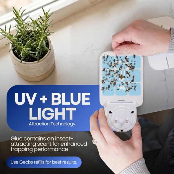 Gecko Flying Insect Trap 1 Plug in Device & 5 Refill Cartridges - Plug in Fly Trap & Indoor Bug Catcher for Gnats, House & Fruit Flies - Blue & UV Light Technology, Alternative to Bug Zappe