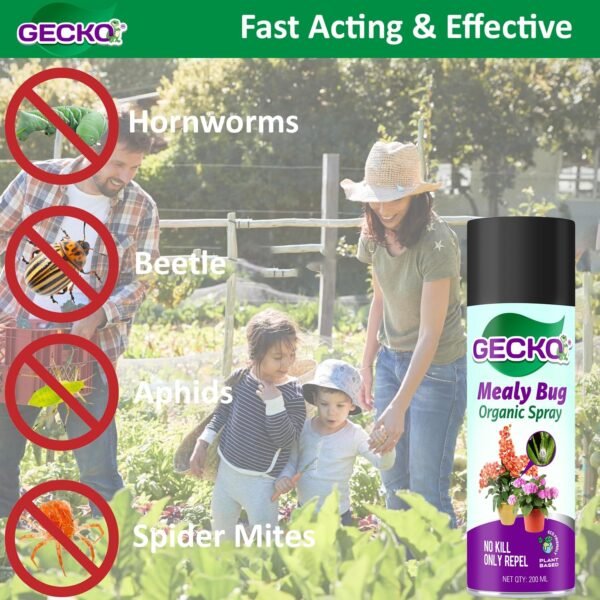 Gecko Mealy Bugs Repellent Spray for plants|Natural Germs Repellent for plants|No Harmful Chemicals| Indoor & Outdoor Plants| Ready to Use|Helps in Plant Growth|Pack of 1 (200 ML) 200 ML