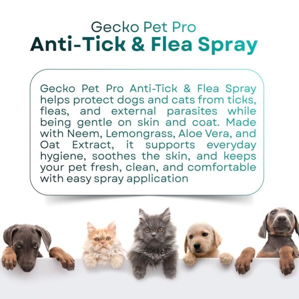 Gecko Pet Pro Anti Tick & Flea Care Spray for Dogs & Cats | 2× Concentrated External Parasite Care | Coat Hygiene & Grooming Support | Lemongrass & Citronella Oil | 200 ml