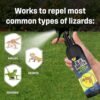 81jq7202UBL._SL1500_.jpg Blue Raptor Lizard Repellent Spray | Herbal | Eco-Friendly | Chemical-Free | Repels Lizards | Food-Safe | Plant-Based | 200ml | Pack of 1 | FORMULATION 2X Pack of 1