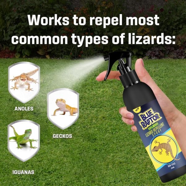 81jq7202UBL._SL1500_.jpg Blue Raptor Lizard Repellent Spray | Herbal | Eco-Friendly | Chemical-Free | Repels Lizards | Food-Safe | Plant-Based | 200ml | Pack of 1 | FORMULATION 2X Pack of 1