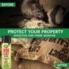 81mgKHyFEL._SL1500_.jpg BOB CAT No Entry Rat Repellent Home Protection Spray| Rodent Spray | Anti Rat Spray | Natural & Non-Toxic Mouse and Rodent Repellent | Quick, Easy Pest Control for Home | Pack of 1 x 200ml 200ML