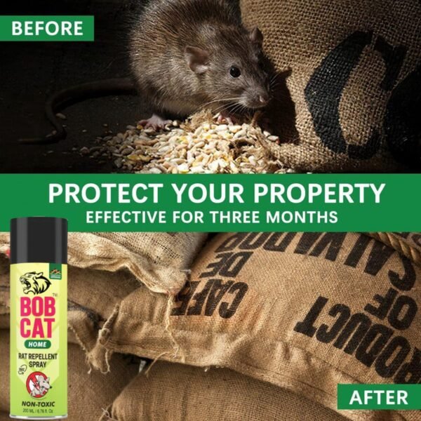 81mgKHyFEL._SL1500_.jpg BOB CAT No Entry Rat Repellent Home Protection Spray| Rodent Spray | Anti Rat Spray | Natural & Non-Toxic Mouse and Rodent Repellent | Quick, Easy Pest Control for Home | Pack of 1 x 200ml 200ML