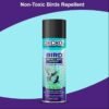 Gecko Bird Repellent Spray for Bird Control For Home And Office| Bird Control Spray | Non-Toxic| Safe for Birds | Pigeon Repellent | Repels Birds - Pack of 1 (200 ML) - FORMULATION 10X Pack of 1