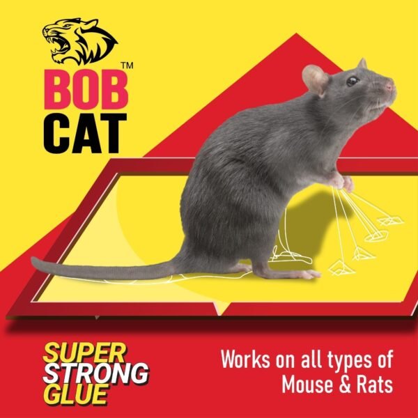 mbxt1hCqdJN1Mqt.jpg BOBCATPROPLUS Rat Catcher Jumbo Size Glue Pads Pack of 2
